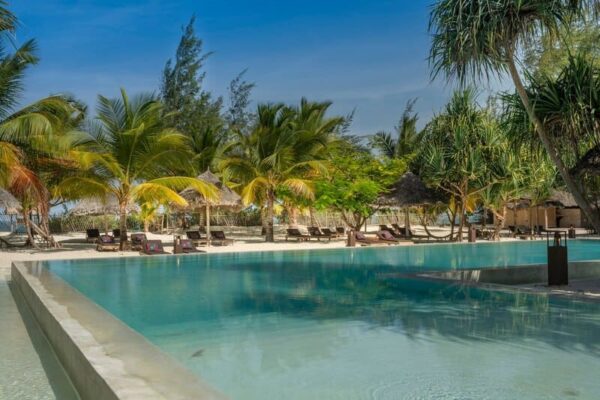 Grande piscine entourée de palmiers du Luna Suite Apartments- Zanzibar